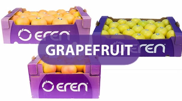 A representation of our fresh grapefruit product group packed inside our companies boxes ready for export